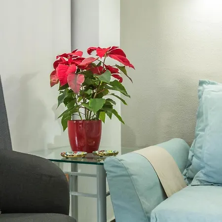 Apartment Soraya *